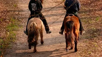 Portugal's Horse Riding Routes Offer More Than Open Fields