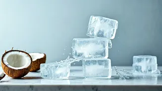 Frozen Coconut Water Blocks Are The Ultimate Hydration Trick