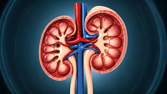 Low Sodium Levels: A Hidden Health Risk You Need to Know