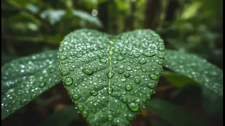 How Everyday Exercisers Can Avoid Hidden Dehydration This Rainy Season