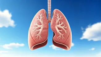 Air Pollution's Silent Threat: Safeguarding Your Health