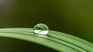 7 Profound Life Lessons from Sadhguru to Conquer Stress