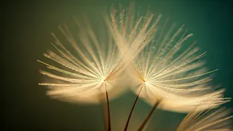 Vedic Names for Baby Girls Starting with 'V': A Glimpse into Tradition and Meaning