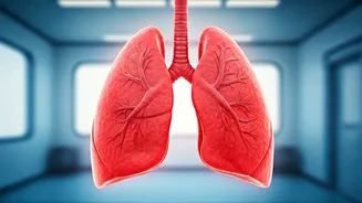 Eat These 7 Foods To Protect Your Lungs