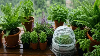 Monsoon Proofing Checklist For Your Balcony Garden Today