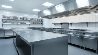 Pest Control in Commercial Kitchens Worth a Closer Look After Fresh Restaurant-Kitchen Inspections in India