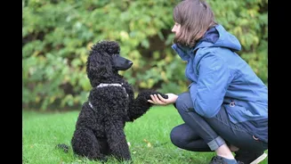 Are You & Your Dog Ready For The Monsoon? 5 Things To Keep In Mind When Going For A Walk