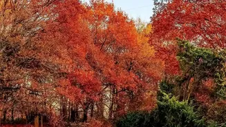 October Weather In India: A Simple Guide To The Seasonal Transition
