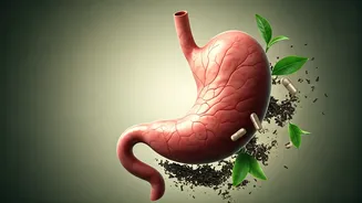 Beyond the Brew: Understanding the Health Hazards of Excessive Chai Consumption