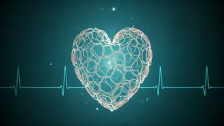 Related Stories banner