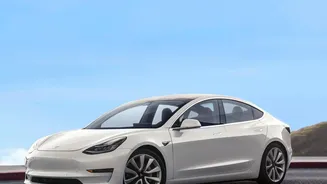 Tesla's Visualisation Faces More than Cars on a Gurugram Street