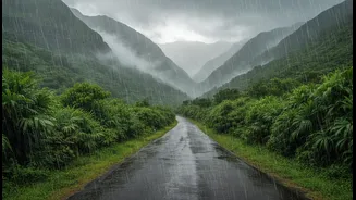Make Your Western Ghats Trip Rain-Ready