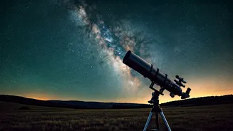 Related Stories banner