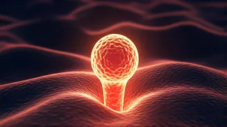 Related Stories banner