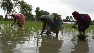 Weak Monsoon Emerges As India’s Next Economic Concern After Rising Crude Oil Prices