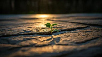 Libra's Daily Outlook: January 15, 2026