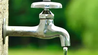 How Urban Tap Water Quality Can Improve Using Low-Cost Rice Husk Bio-Char