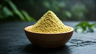 Monsoon Mornings Need This Protein Hero
