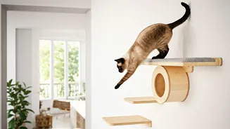 Boost Apartment Cat Movement Using Clever Vertical Wooden Wall Bridges