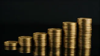 Indian Mutual Funds Maintain High Cash Reserves Amid Market Growth