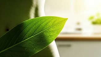 Achieve a Flat Belly in 7 Days: Your Ultimate Diet Plan and Weight Loss Guide