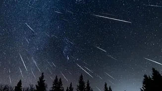 Leonids meteor shower peaks next week: How to watch