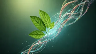 Elevate Your Well-being: How AI Transforms Gratitude Journaling