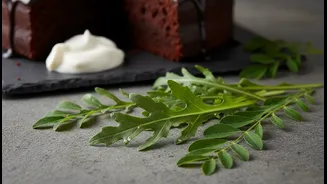 A Bitter Leaf Can Make A Sweet Or Rich Dish More Balanced