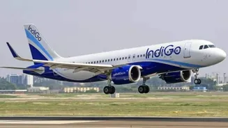 DGCA sets up four-member panel to probe IndiGo flight disruptions, report due in 15 days