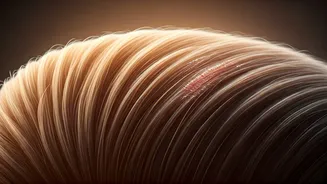 Cowlick vs. Bald Spot: Your Easy Guide to Spotting the Difference