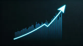 Indian Equities: Analyzing the Late Market Surge
