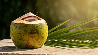 Related Stories banner