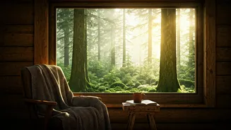 Forest Escapes Are Winning Travellers Tired Of Hotels