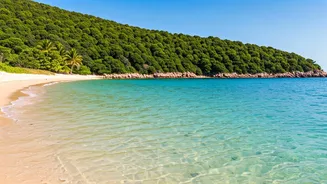 7 Dreamy Indian Honeymoon Destinations for November 2025