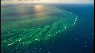 Why Unprecedented Algal Bloom Sizes In Recent NASA Maps Point To Deep Sea Currents Shifts