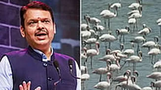 Environmentalists Urge Maharashtra CM Devendra Fadnavis To Expedite Legal Protection Of Over 23,000 Wetlands Amid Climate Concerns