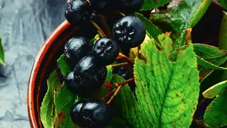 Why Seasonal Superfoods Are Trending This Monsoon