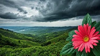 South India Is Calling, But Rains Are Coming