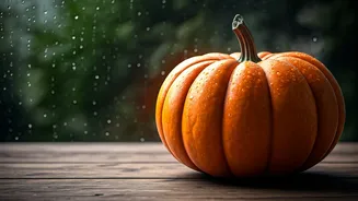 Pumpkin Gives Rainy Diets A Gentle Reset