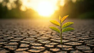 Related Stories banner