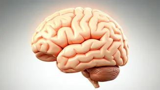 Unlock Joy: 7 Science-Backed Reasons to Smile Daily!