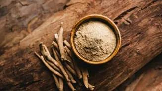 Maharashtra Food and Drugs Administration cancels 10 Ayurvedic manufacturers' licenses