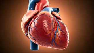 Heart Health: Daily Habits for Longevity