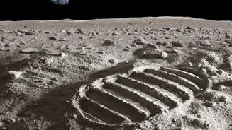 NASA experiments show bacteria and fungi survive Moon's coldest regions