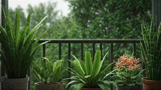 Balcony Gardens Are Getting Their Monsoon Moment