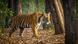 Escape the City: Top 5 Indian National Parks for a Captivating Good Friday Wildlife Getaway