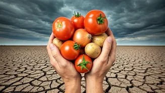 Food Bills Are Weather-Sensitive In India