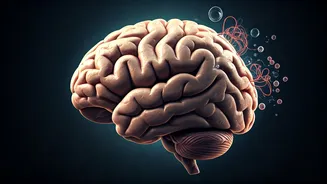 Unlock Character Insights: A Psychologist's Guide to Judging People Instantly