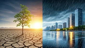 Rainfall Forecast May Affect Cities Differently