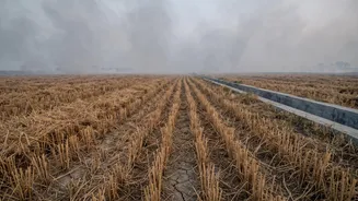 Why Crop-Residue Smoke Matters For India’s Air Quality After The Monsoon